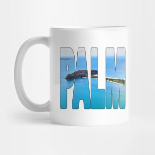 PALM BEACH - Northern Beaches Sydney Australia Aerial Mug